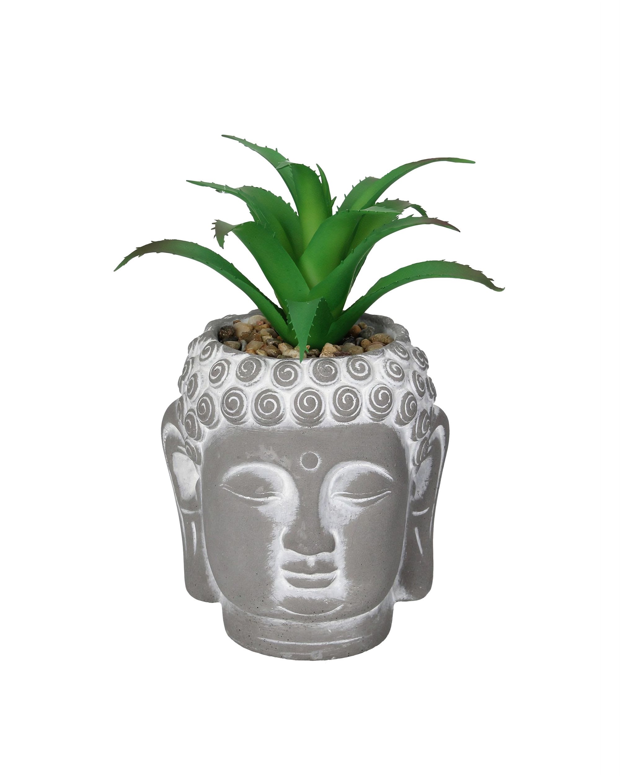 Decorațiune Aloe Buddha17cm