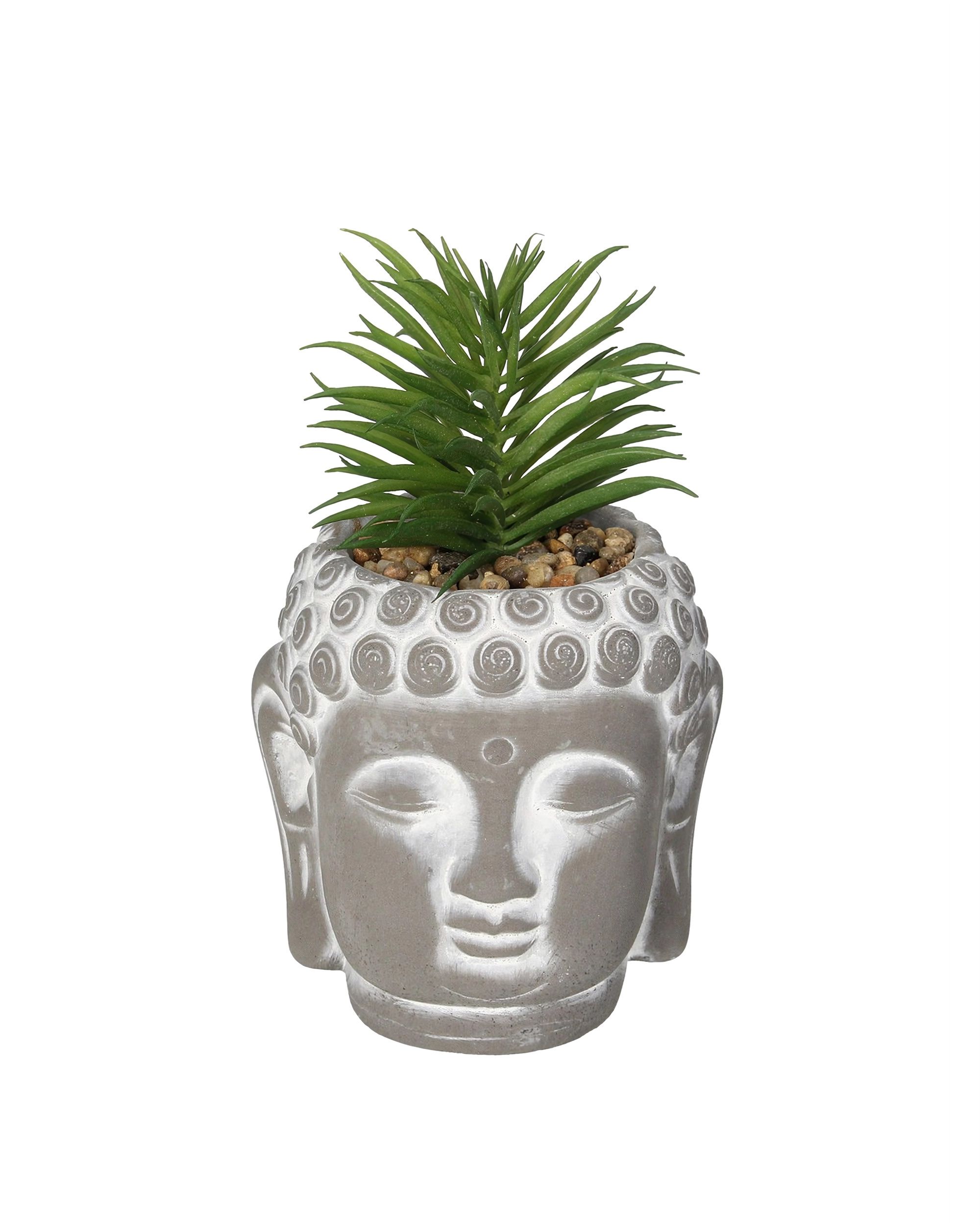 Decorațiune Buddha Suculentă I 17cm