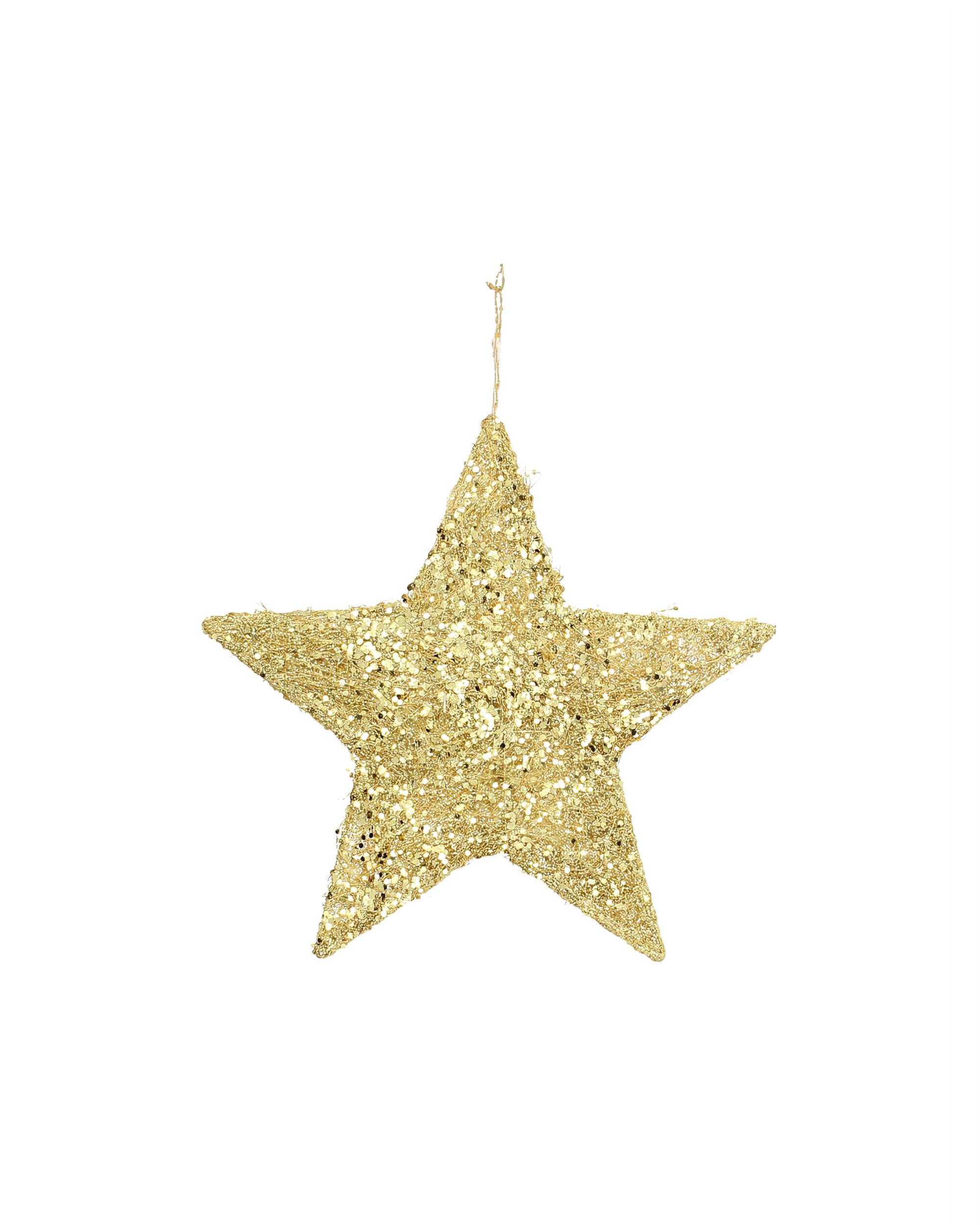 Decorațiuni Golden Star 25cm