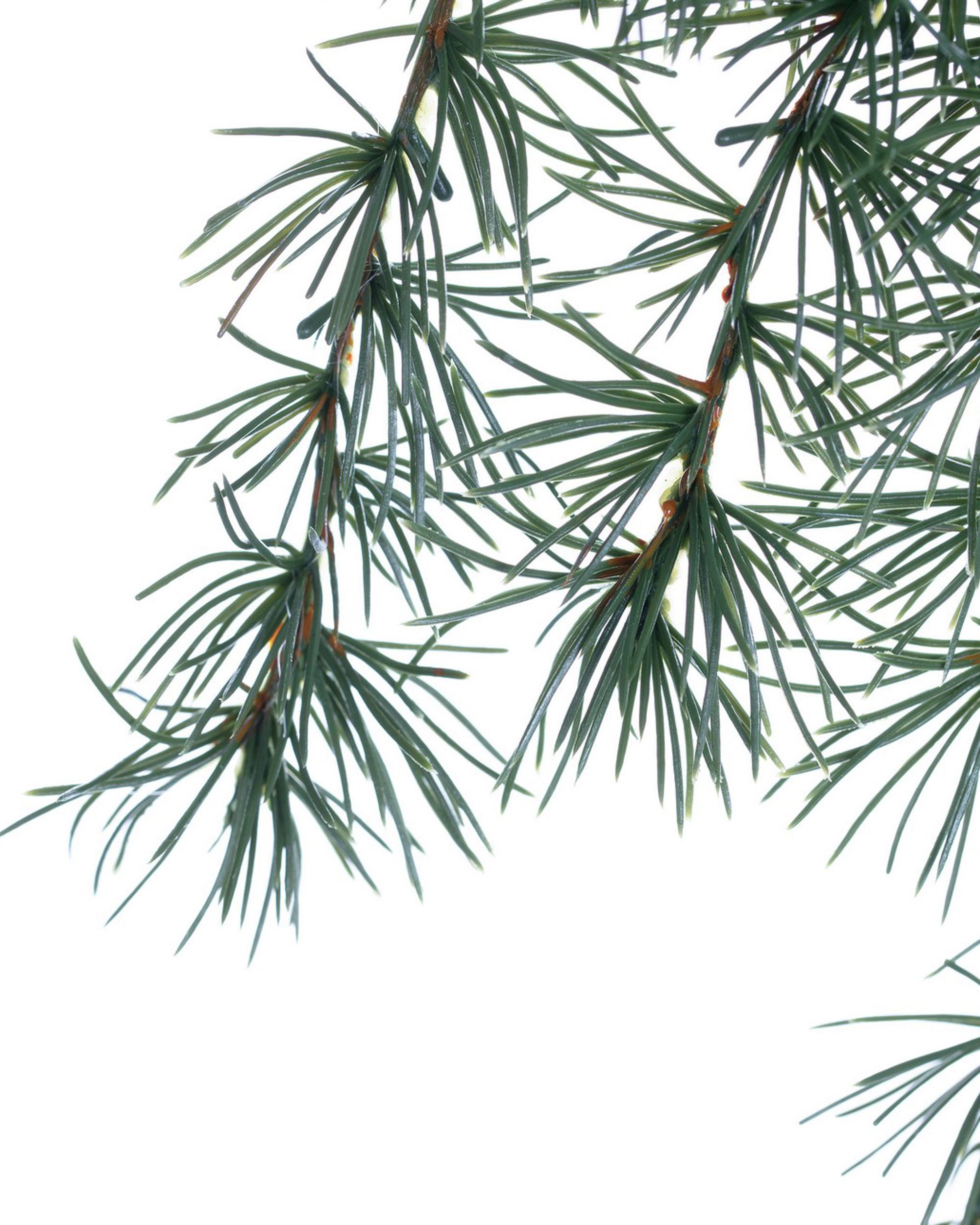 Ramură Christmas Tree 30x2x60cm verde închis (hover)