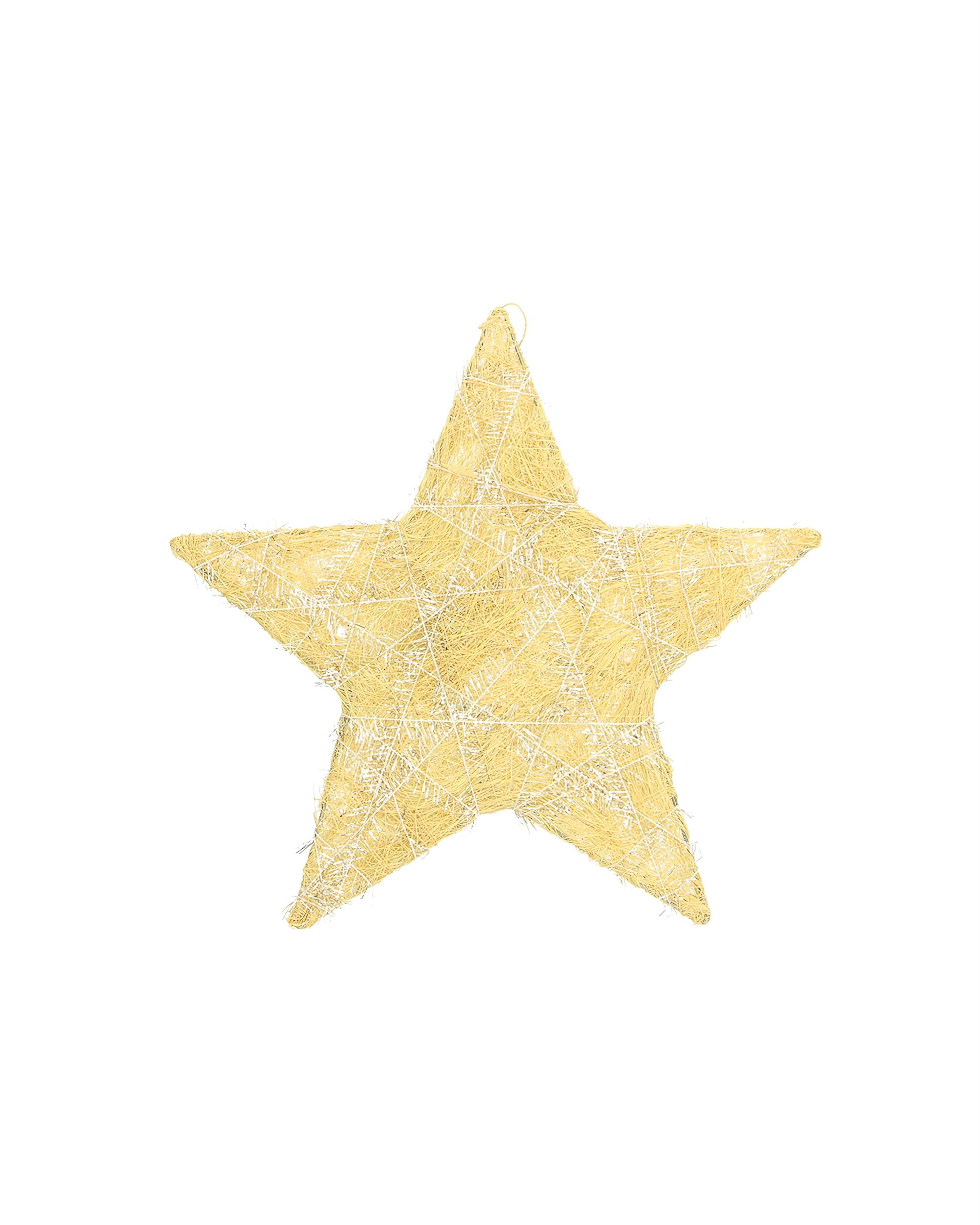 Decorațiuni de Crăciun Golden Star II 25 cm
