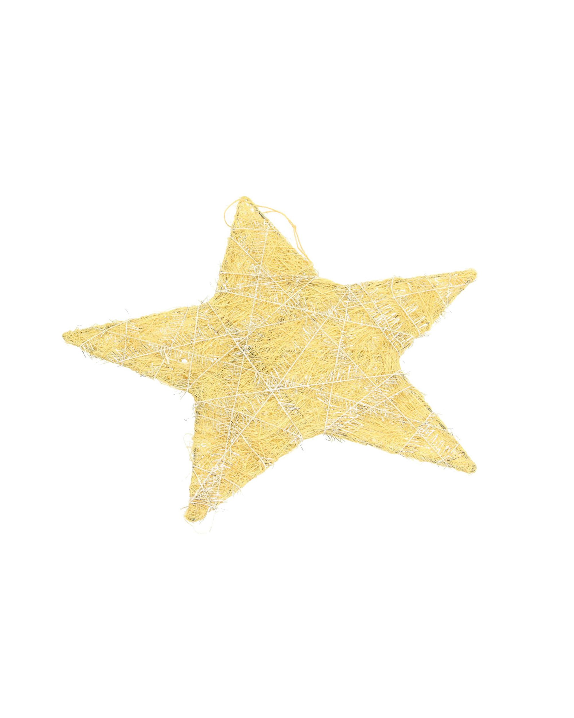 Decorațiuni de Crăciun Golden Star II 25 cm (hover)