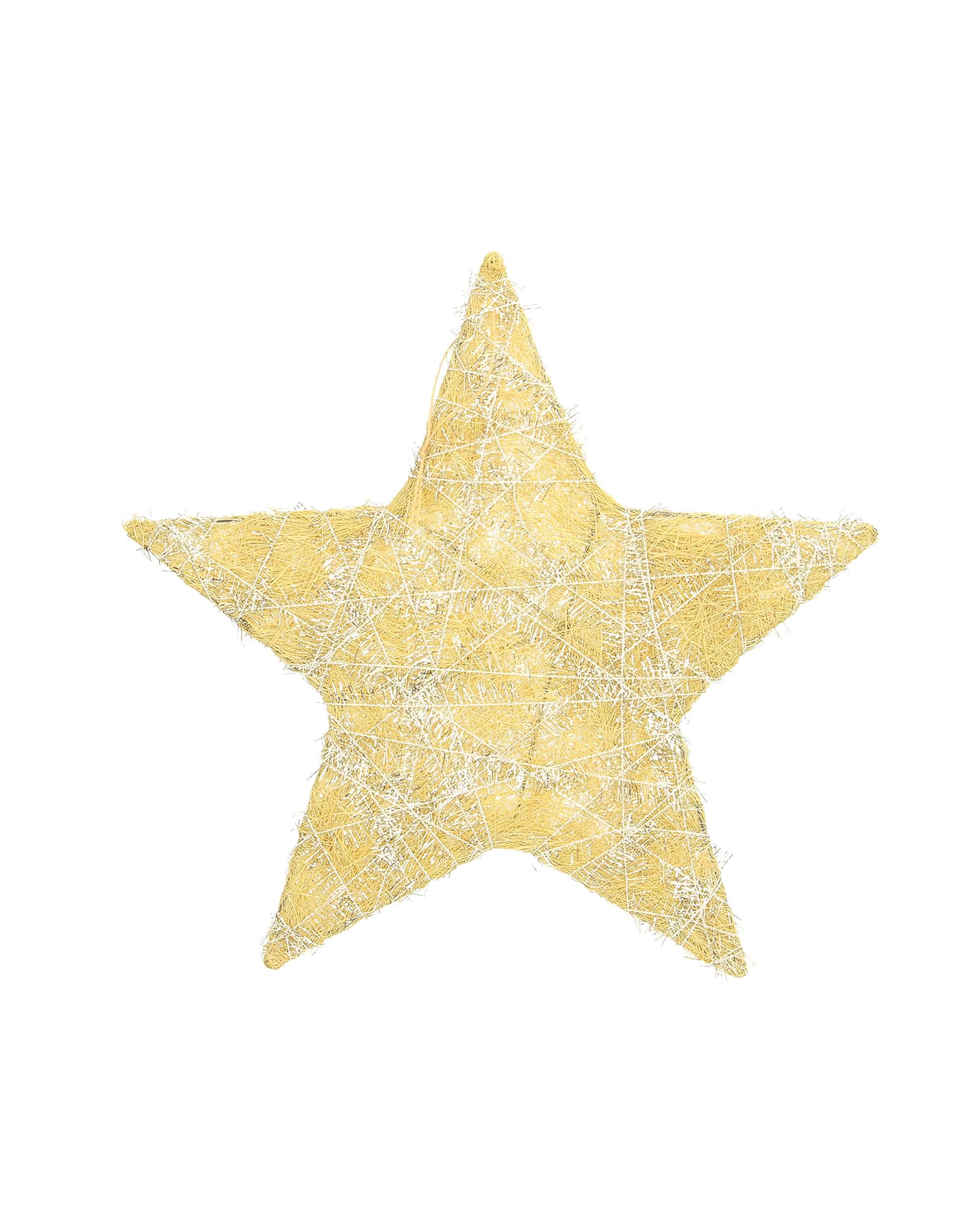 Decorațiuni de Crăciun Golden Star II 30 cm