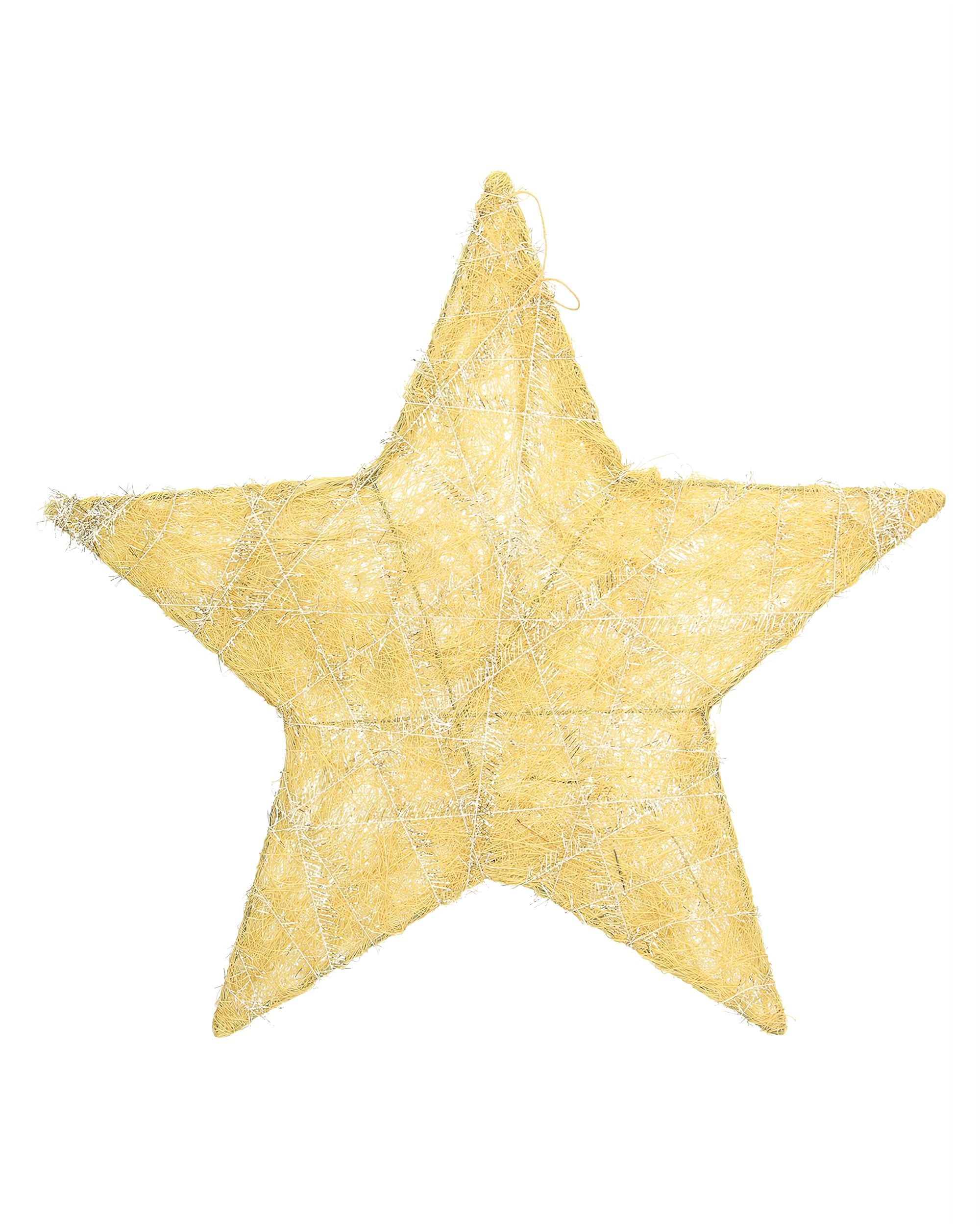 Decorațiuni de Crăciun Golden Star II 40 cm