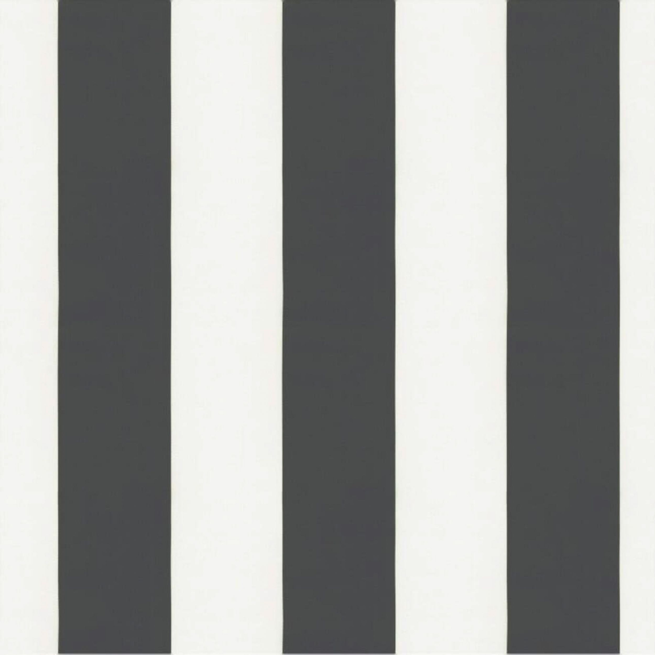 Aria 137-53 dungi alb-negru