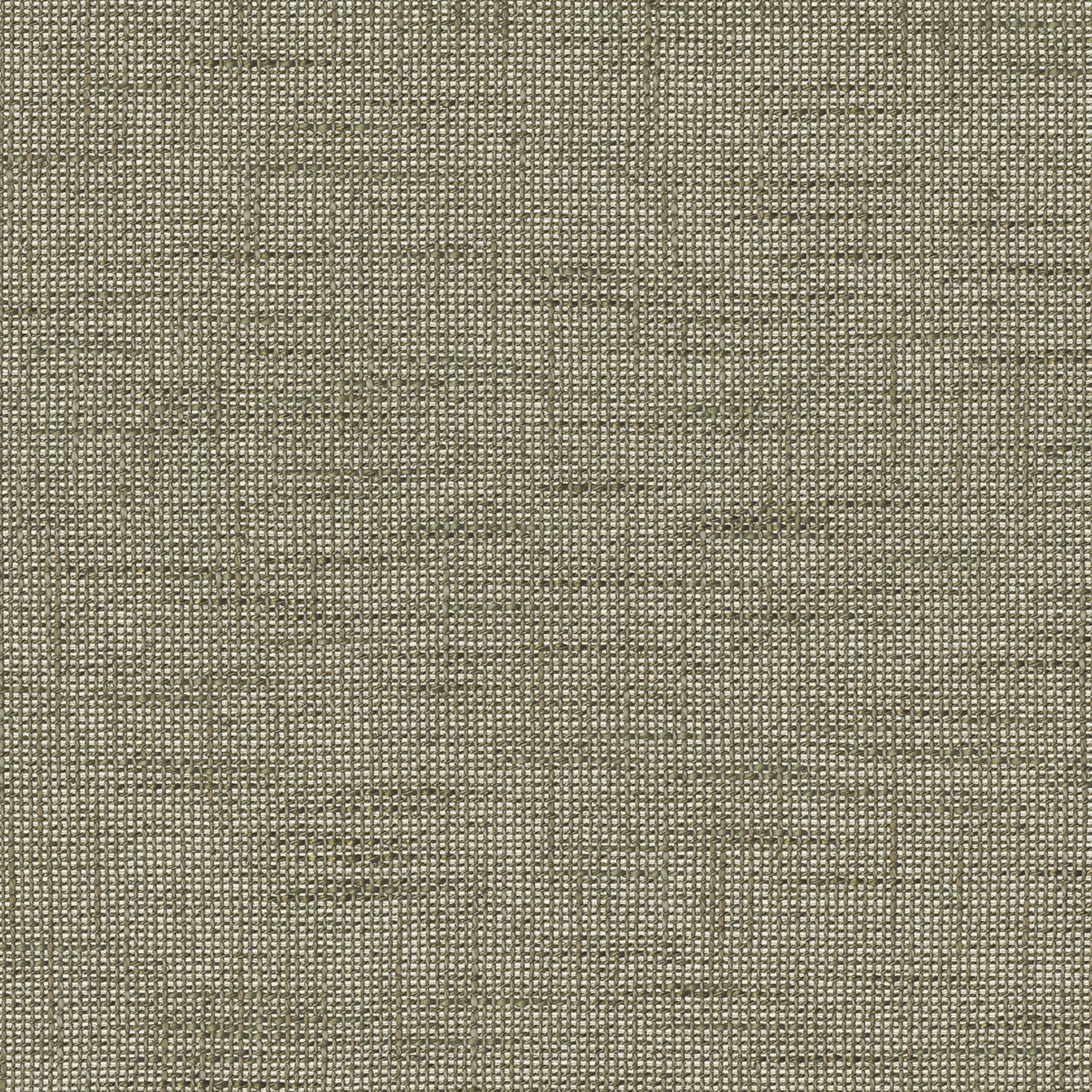Lino Terra 145-49 măsliniu