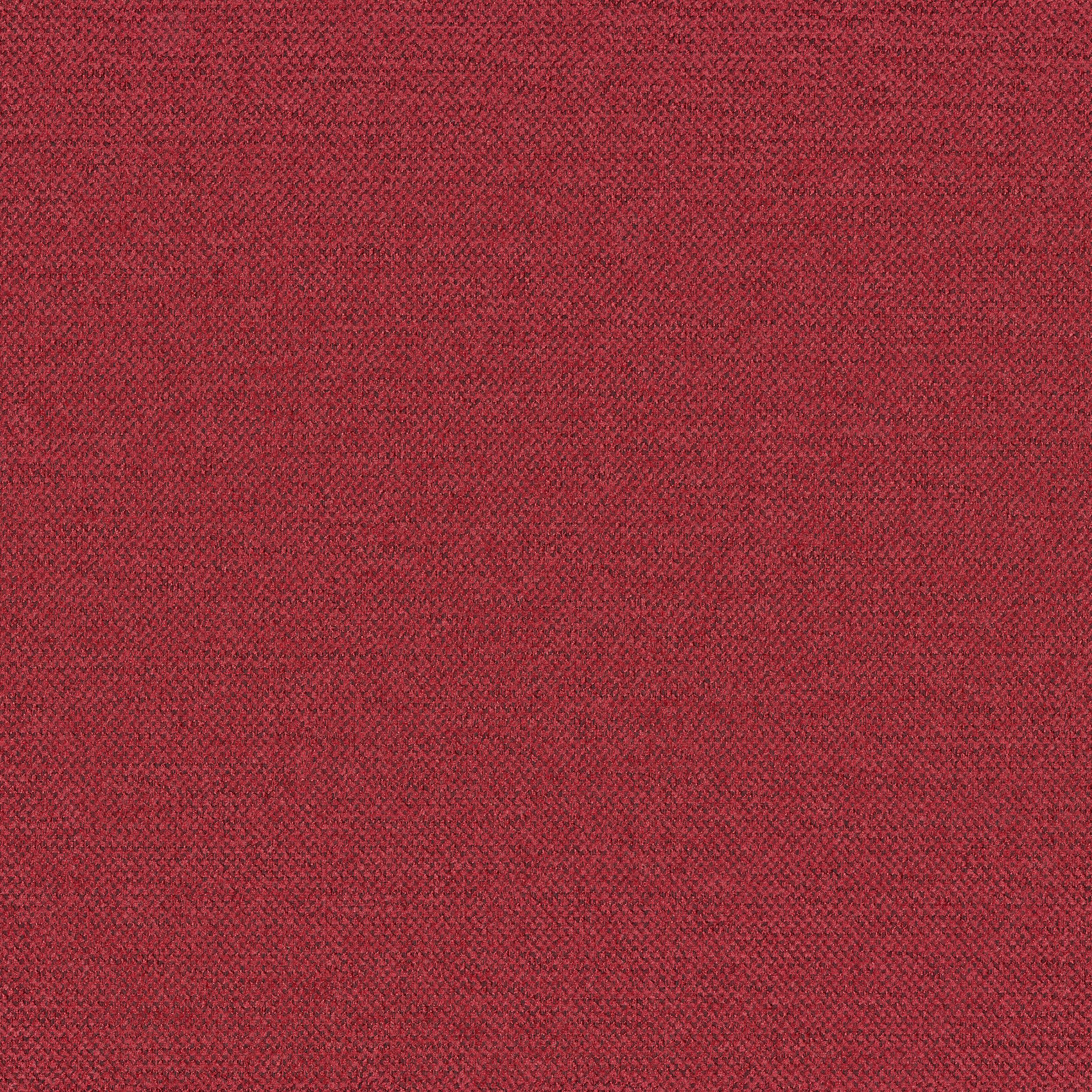 Living Basic 162-50 bordo