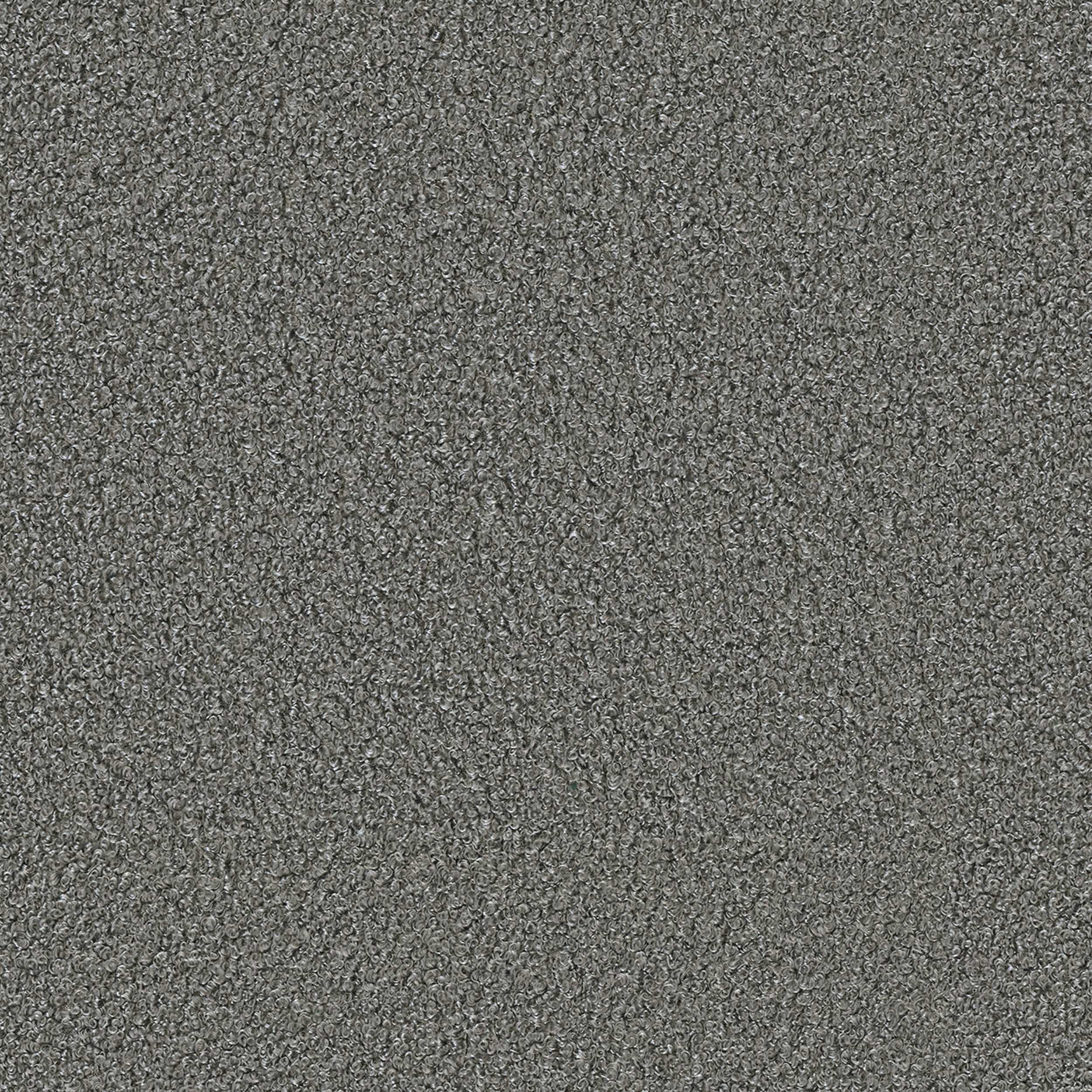 Boucle Teddy 702-83 gri închis