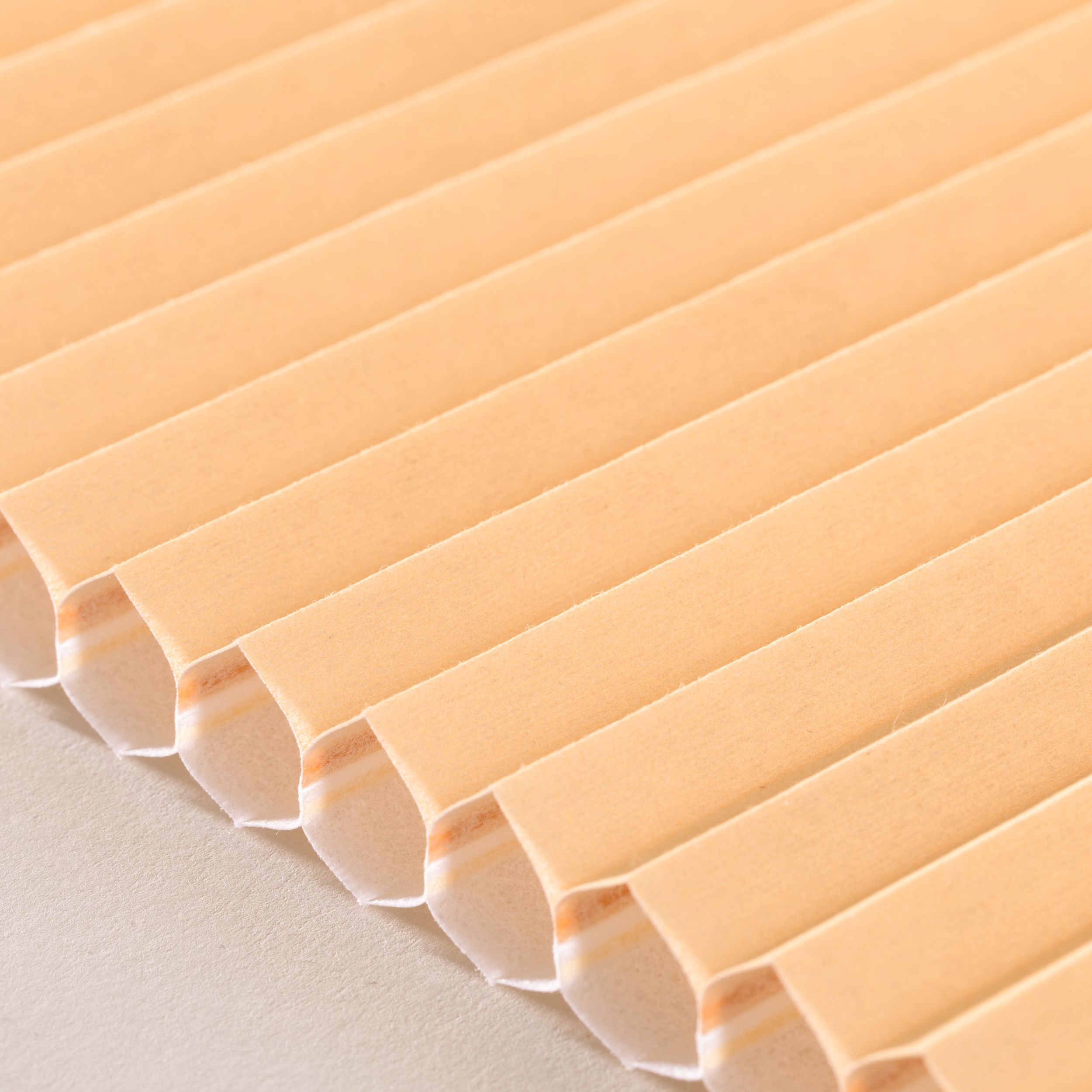 Basic – jaluzele plisate Honeycomb H-102 portocaliu stins